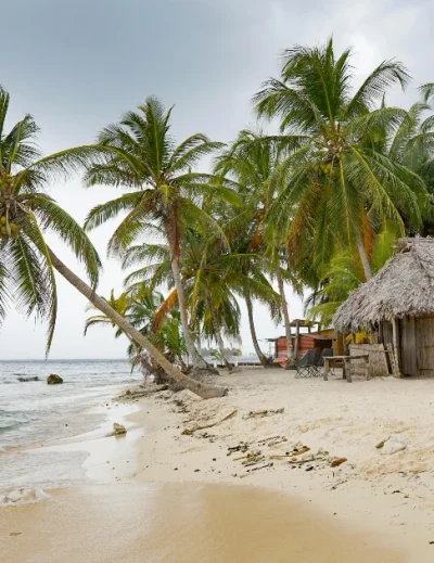 A serene tropical beach with palm trees and a rustic hut in Africa, an ideal honeymoon destination.