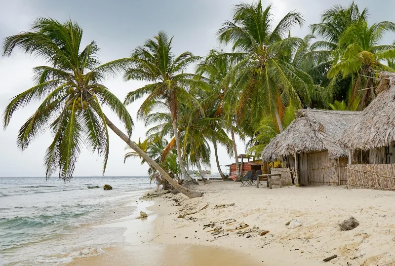 A serene tropical beach with palm trees and a rustic hut in Africa, an ideal honeymoon destination.