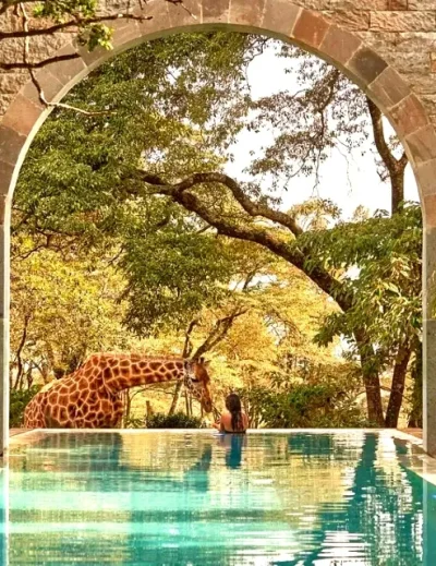 A woman relaxing by the pool at Giraffe Manor in Kenya, with a giraffe approaching from the side.