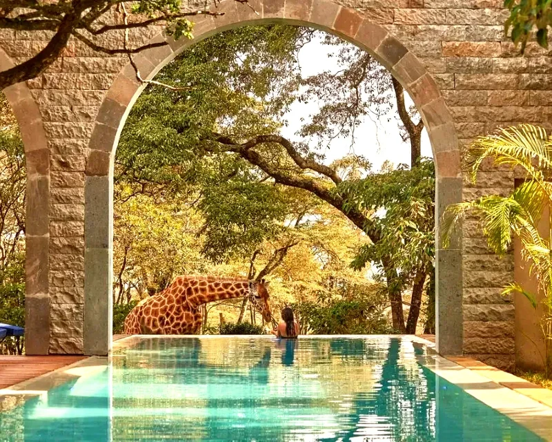 A woman relaxing by the pool at Giraffe Manor in Kenya, with a giraffe approaching from the side.