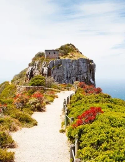 "A scenic walkway lined with vibrant greenery and wildflowers leading to a cliffside viewpoint in Cape Point, showcasing one of Africa's most attractive cities with Lery Hago Travels."