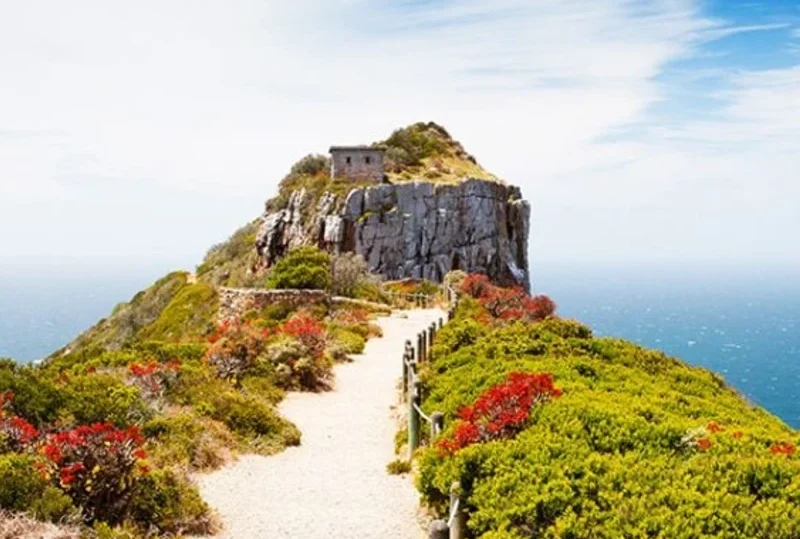 "A scenic walkway lined with vibrant greenery and wildflowers leading to a cliffside viewpoint in Cape Point, showcasing one of Africa's most attractive cities with Lery Hago Travels."