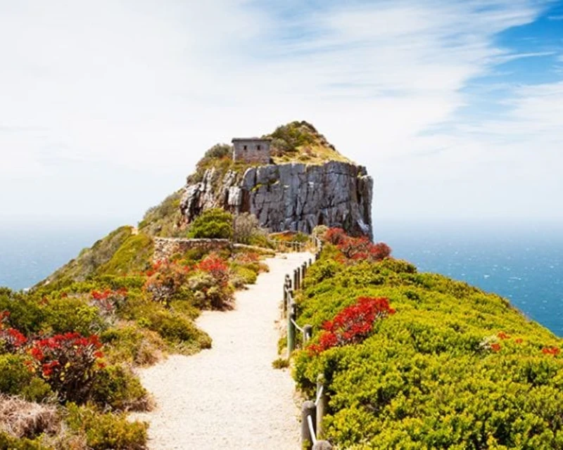 "A scenic walkway lined with vibrant greenery and wildflowers leading to a cliffside viewpoint in Cape Point, showcasing one of Africa's most attractive cities with Lery Hago Travels."