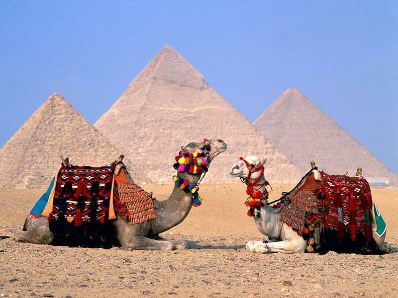 Cairo, Sharm El-Sheikh, Egypt travel guide for Nigerians