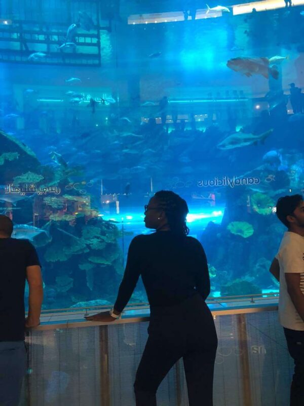 "Visitor enjoying the stunning underwater view at the Dubai Aquarium, an exclusive highlight of the Christmas Dubai Luxury Package."