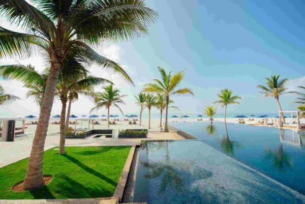 "A luxurious infinity pool bordered by lush palm trees with a view of beach umbrellas and the serene ocean horizon."
