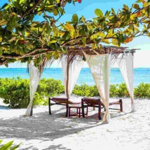 "Secluded beach cabana under a leafy arbor with a view of the serene Zanzibar sea, ideal for summer holidays at www.leryhago.com."
