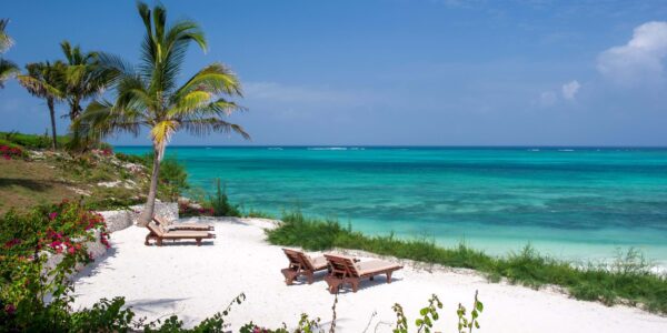 "Beach loungers under a palm tree overlooking the serene turquoise waters of Zanzibar, an ideal festive season retreat."