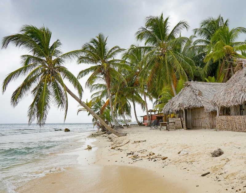 A serene tropical beach with palm trees and a rustic hut in Africa, an ideal honeymoon destination.